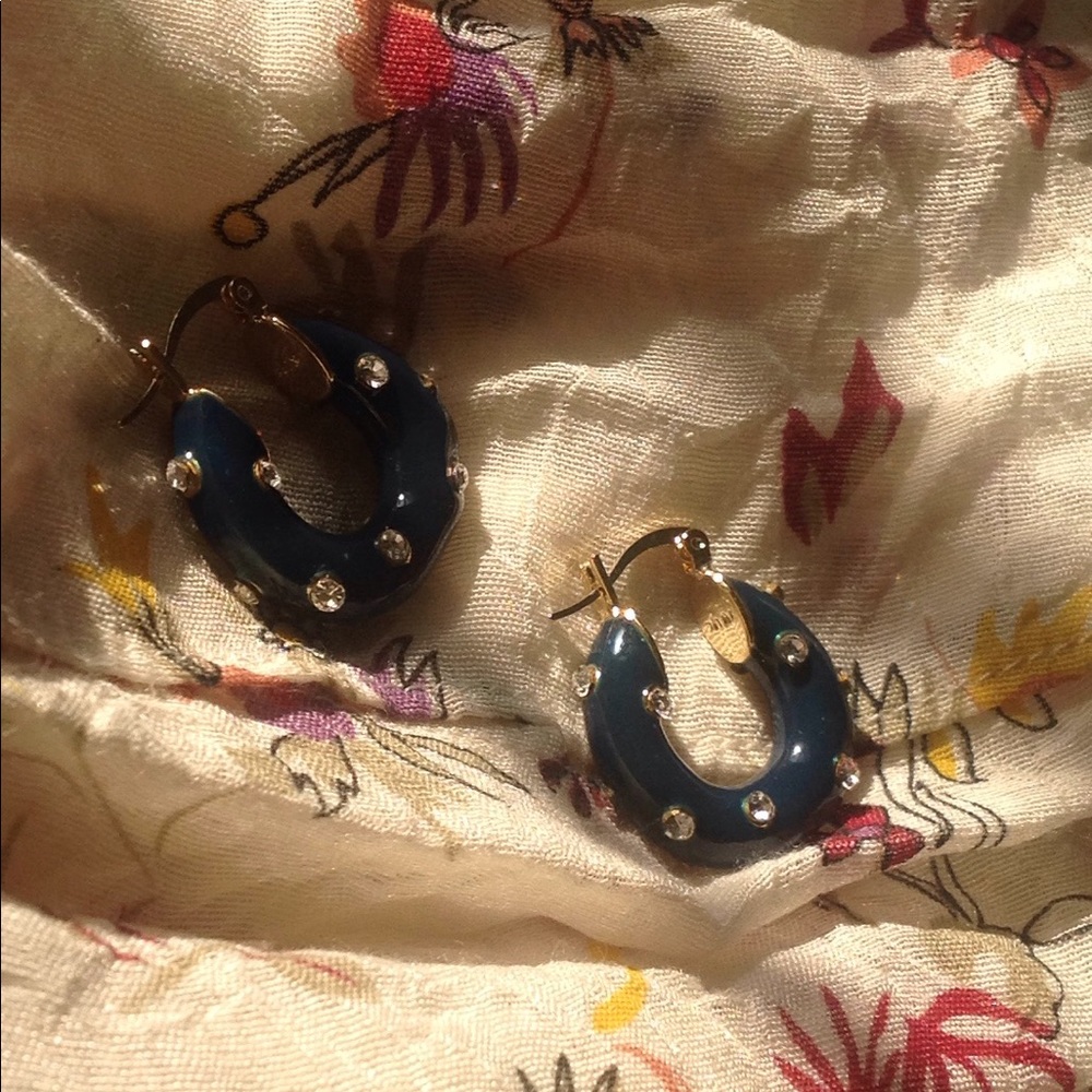 Blue Enamel & Rhinestone costume earrings